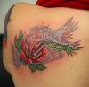 hummingbird pic tattoo left shoulder blade of girl